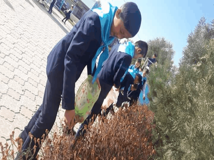 Гүл ұрықтарын жинау