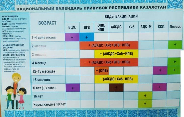 ПРОФИЛАКТИКАЛЫҚ ЕГУЛЕР КЕСТЕСІ
