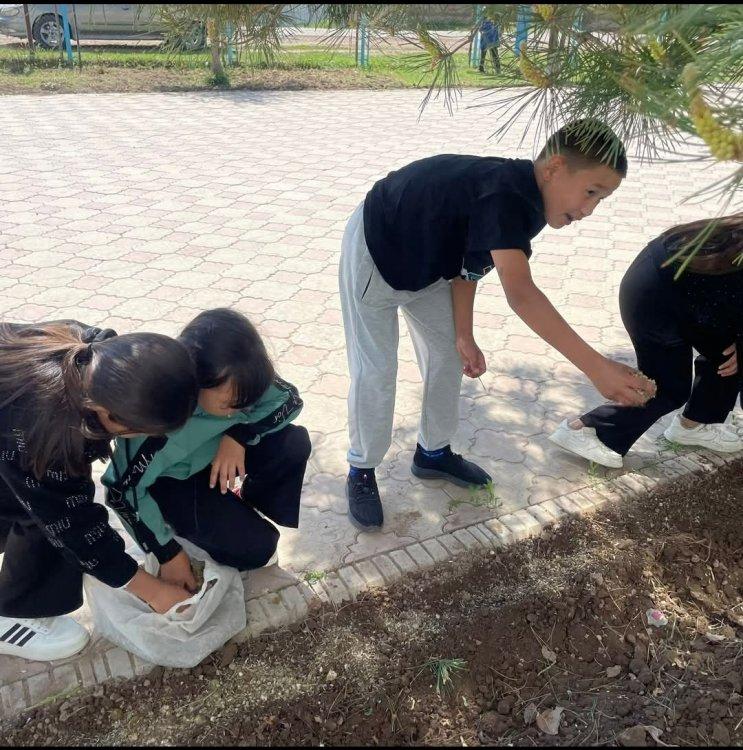 "Өскен өңір"